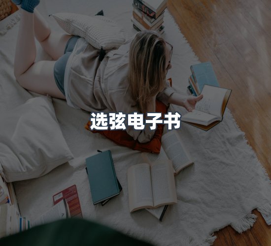 关于选弦电子书